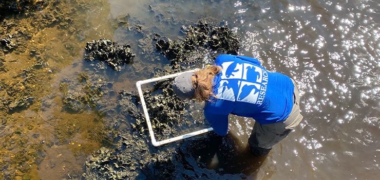 Florida Oceanographic Society doing research