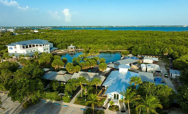 aerial of the Florida Oceanographic Coastal Center