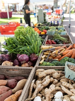 veggies at the Market on Main in Stuart Florida