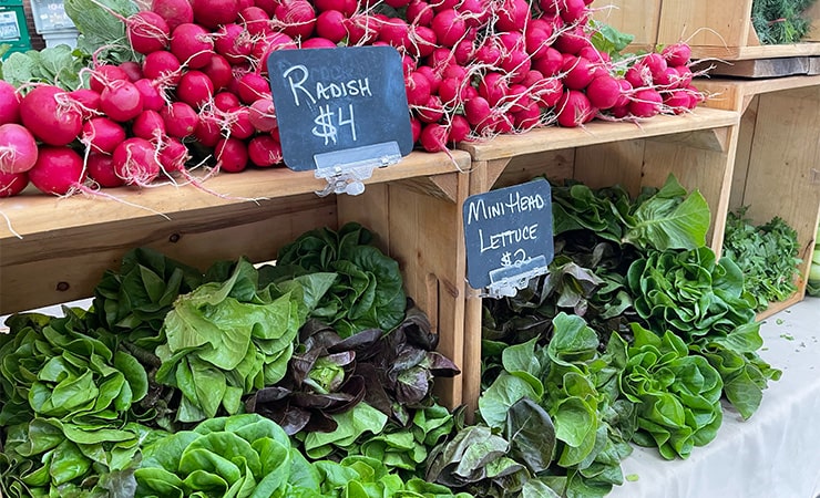 fresh food from Martin County Florida  farmers markets