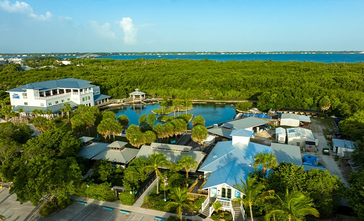 Aerial of the Oceanographic Center