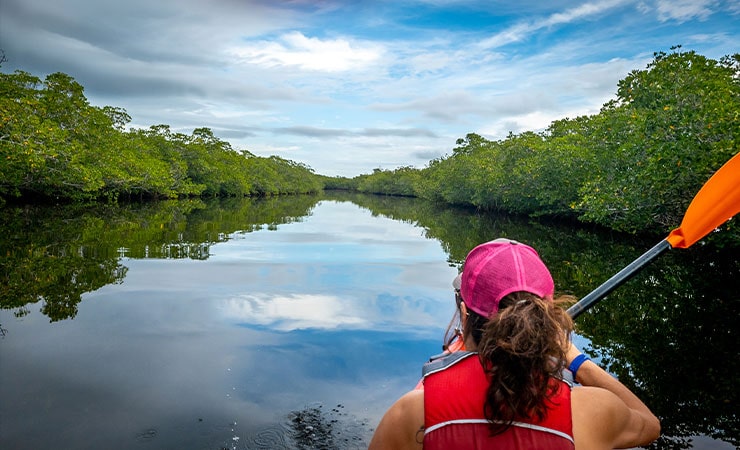 Martin County Events - Florida's Mighty Mangroves - woman kayaking