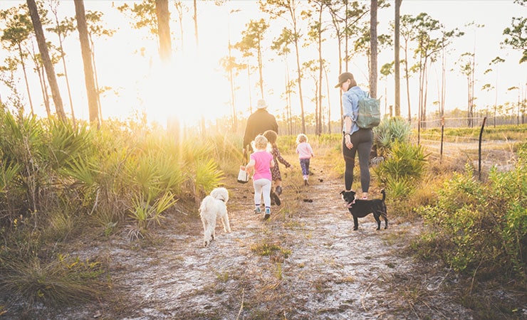 hiking in Jonathan Dickinson State Park