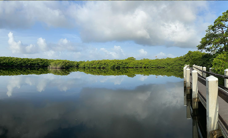 Lake at Jonathan Dickinson State Park