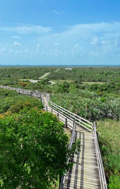 Jonathan Dickinson State Park overlook of the boardwalk