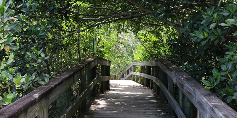 Hobe Sound Nature Center boardwalk